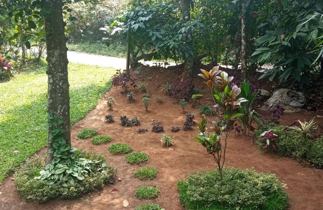 Family Villa is a hut Style Accommodation
