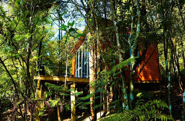 Fantail Bush Chalet, arbusto y golf a la vuelta de la esquina.