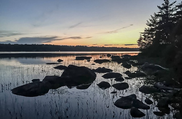 Fantastic property on the pond with firepit, wraparound deck, & kayaks
