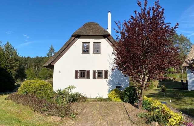 Fantastic thatched house on the edge of the forest