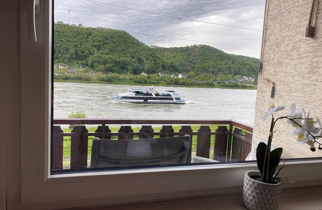 Fantastic apartment, view of the Rhine, balcony, terrace, enclosed terrace. Garden. Dogs welcome!