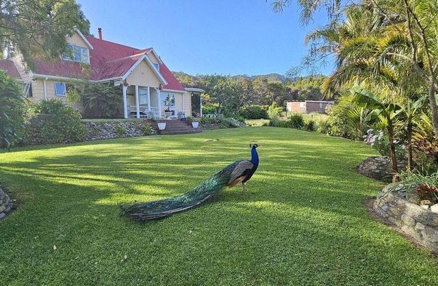 Farm house with sea views & native bush, fishing, kayaking, bird lovers haven.
