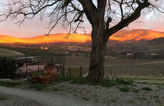FARM IL POGGIOLINO