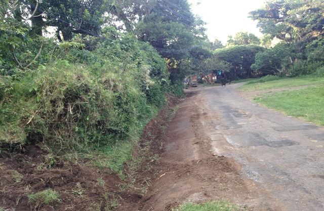 farm in heredia with tons of forest and great hikes