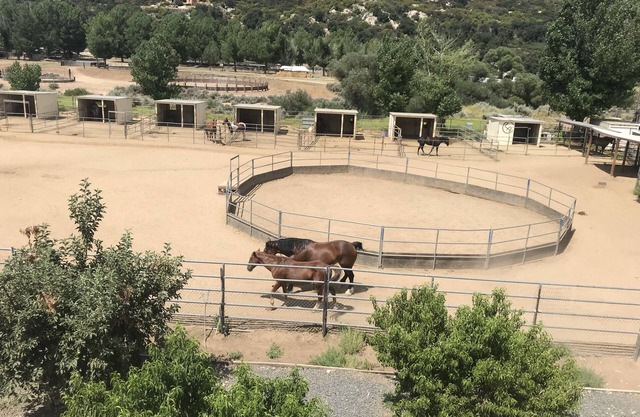 Farm Stay 101