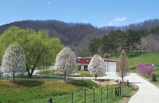 Agroturismo en Walnut Hollow Ranch