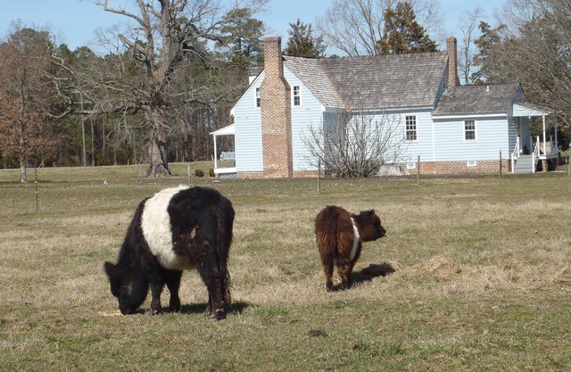 Estancia en una granja, granja de trabajo diversificada, entorno agrario