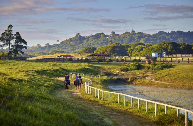 Farm Stay! Fun activities for the whole family-35 minutes from Cairns CBD
