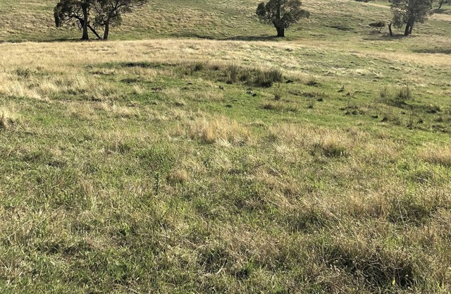 Farm Stay in the Snowy Mountains
