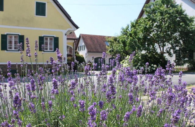 Farmer-Rabensteiner