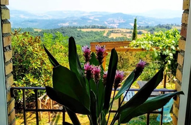 FARM MONTESALCE-APARTAMENTO AMARILLO