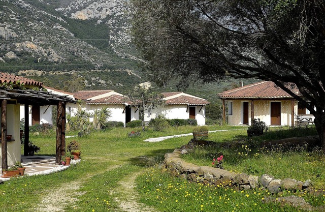 Cortijo Rubinu - Ghiniperu