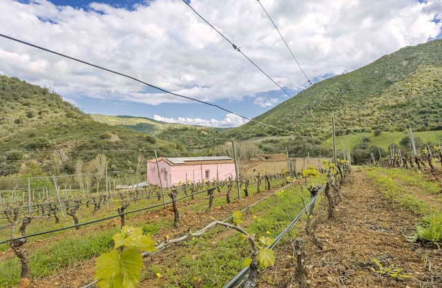 Farmhouse tra i vignetti del Cannonau di Jerzu