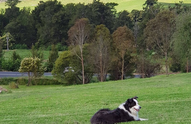 Farmstay overlooking the Brogo River River with views of Mt Mumbulla.