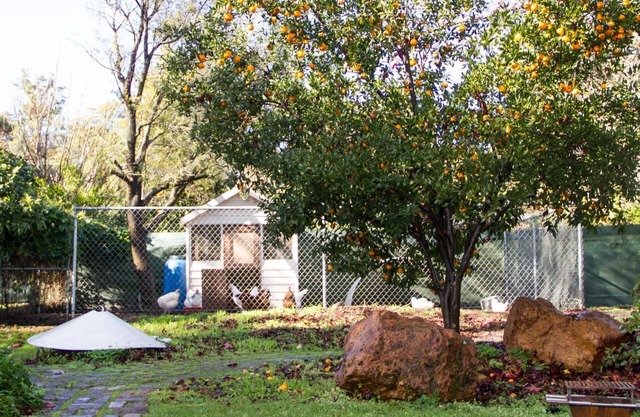 Farview Guest Accommodation