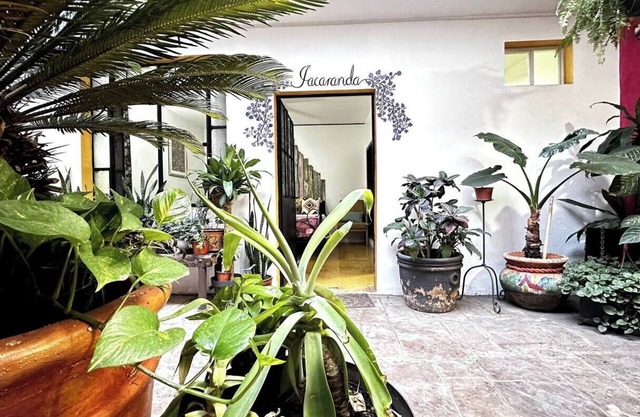 Jacaranda #4 Fast WIFI Rooftop Lounge Washer Parián Secure