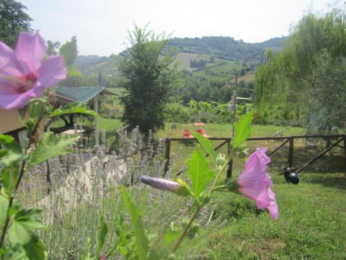 Fattoria Bertaccini