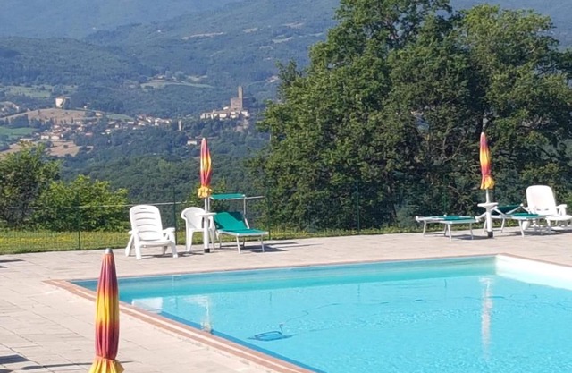 Fattoria di Belvedere