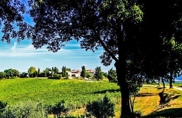 Fattoria La Torre