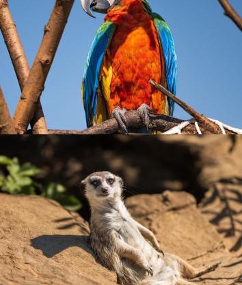 FAUNAPARK Lipová-lázně