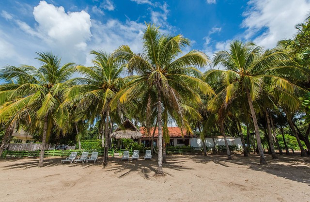 Casa FAVORITA en la playa desde 2005, a 50 pasos del océano
