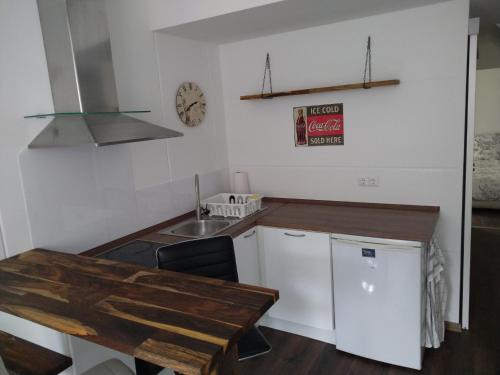 Ferien- Montagewohnung