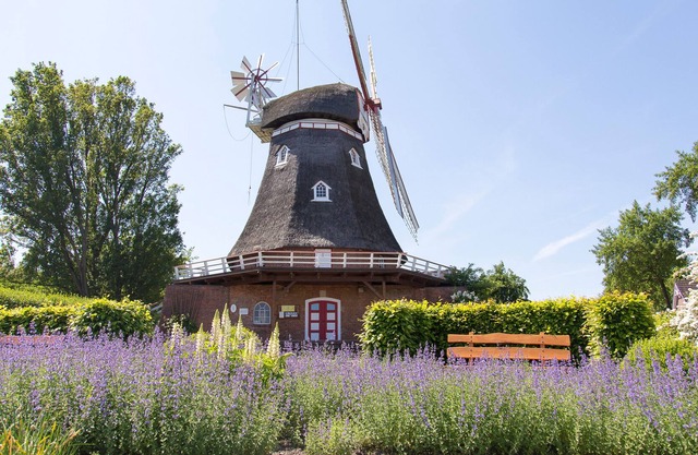 Ferienhaus für 6 Gäste mit 78m² in Bad Bederkesa