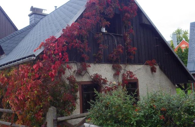 Ferienhaus Frieda