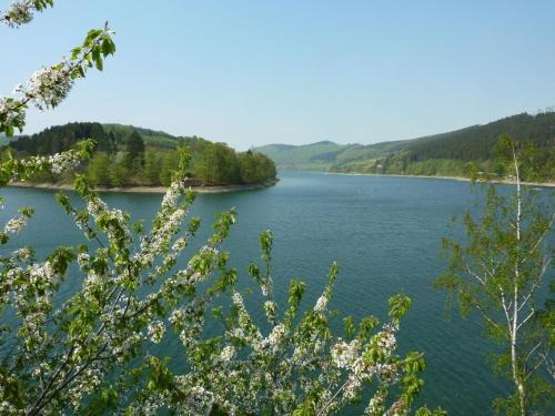 Ferienhaus in Diemelsee zum Alleinbewohnen