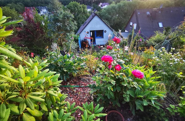 Ferienhaus mit riesen Garten, drei Terrassen, toller Aussicht am Waldrand, auch als Monteur-Wohnung
