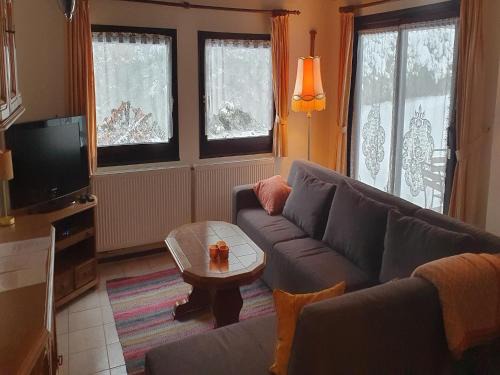 Ferienhaus mit Terrasse im Skigebiet, cleaning included