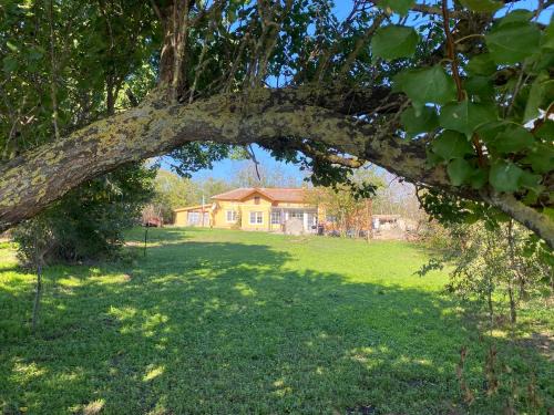 Ferienhaus Primorska Sunshine in Strandnähe