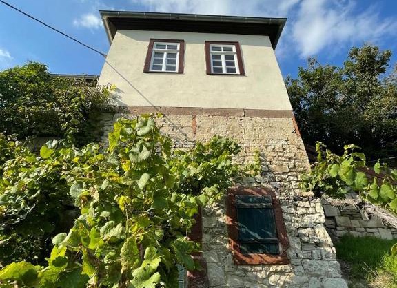 Ferienhaus Traminer im Weinberg