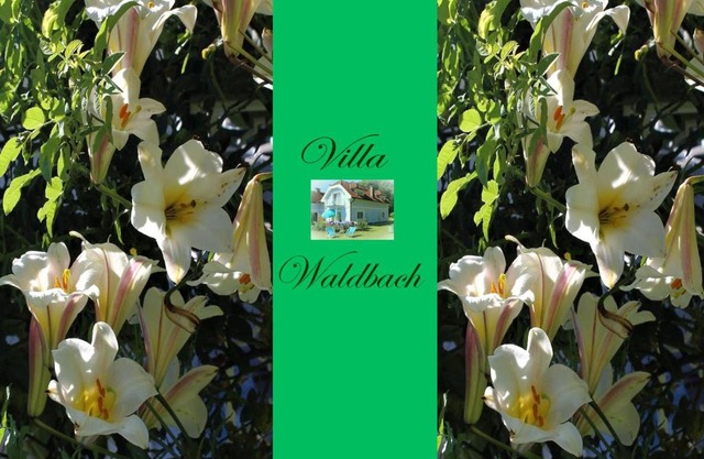 Ferienwohnung am Wörthersee Villa Waldbach
