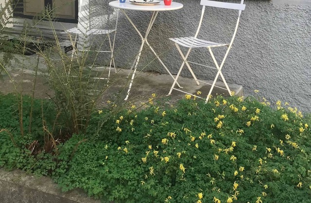 Ferienwohnung/app. für 4 Gäste mit 52m² in Bergün/bravuogn
