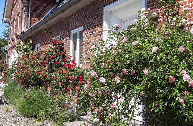 Ferienwohnung/app. für 2 Gäste mit 70m² in Kappeln