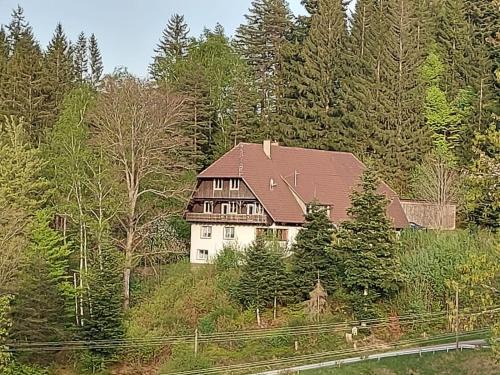 Ferienwohnung Auerhahn
