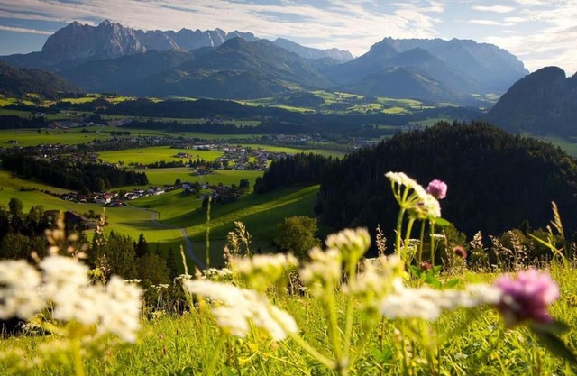 Ferienwohnung Bergblick