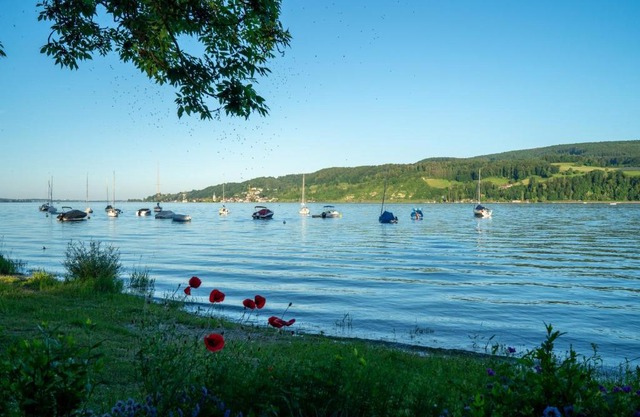 Ferienwohnung Bodensee Gaienhofen