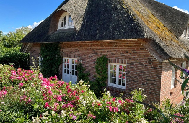 Ferienwohnung mit Reetdach und Ostseeblick OVS 102 - 3-raum-ferienwohnung bis 6 Pers