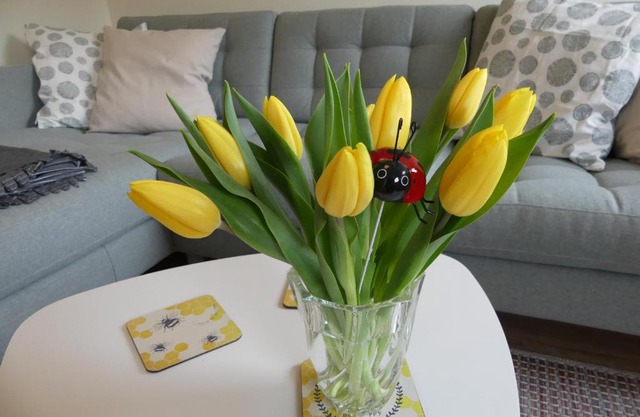 Ferienwohnung Sünteltraum
