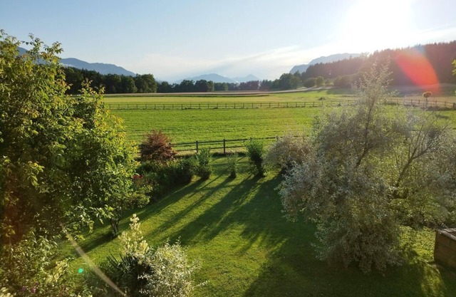 Ferienwohnung Schönegger - Ferienwohnung