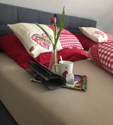 Ferienwohnung Silvaner in fränkischer Weinregion