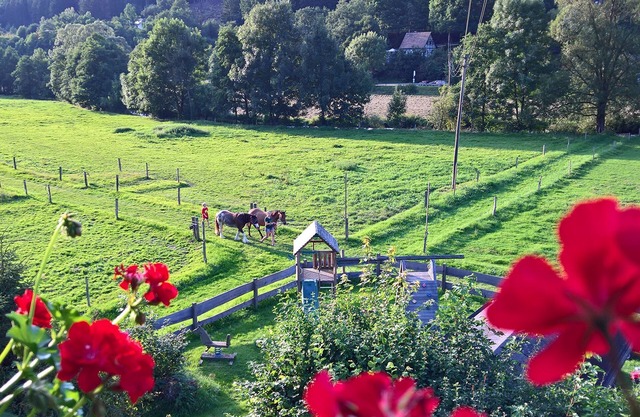 Ferienwohnung Typ A Ponyweide, 47qm, 2 Schlafzimmer, Max. 4 Personen