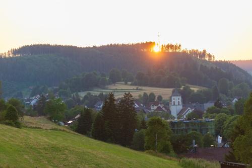 Ferienwohnung Wälderliebe