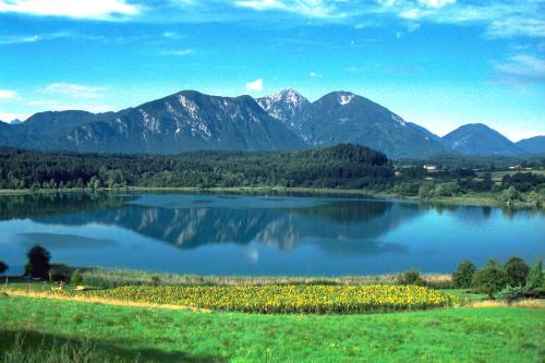 Ferienwohnungen Eckwirt Region: Klopeinersee-Turnersee
