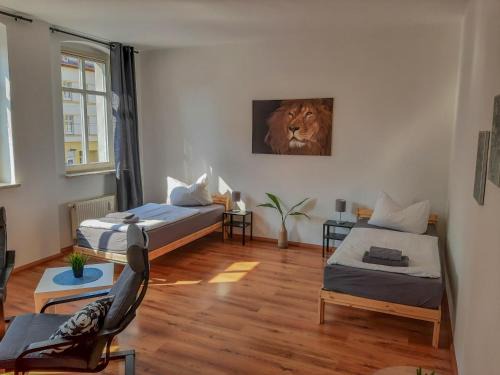 Ferienwohnungen fußläufig zur Stadt, Smart-TV, WLAN & Platz für Paare & Gruppen