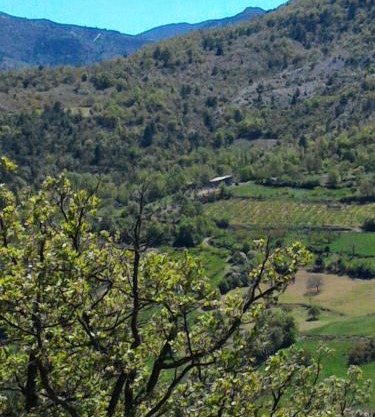 Ferme La Viste