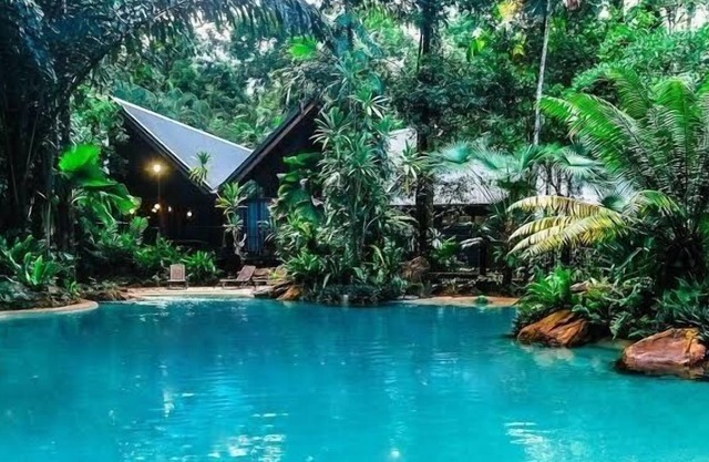 Ferntree Rainforest Hotel