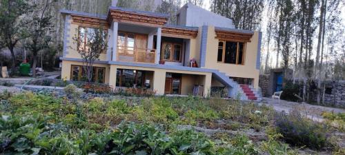 Feroz homestay